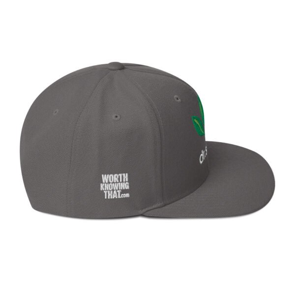 Dr. Sebi Snapback Cap – Unisex (White Text) - Image 22
