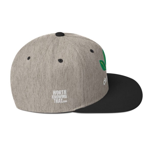 Dr. Sebi Snapback Cap – Unisex (White Text) - Image 62