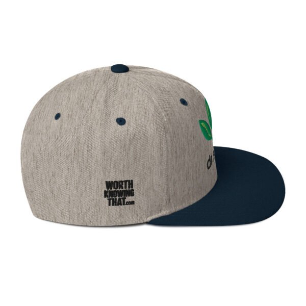 Dr. Sebi Snapback Cap – Unisex (Black Text) - Image 34