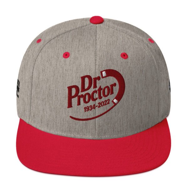 Dr. Proctor Snapback Cap – Unisex - Image 29
