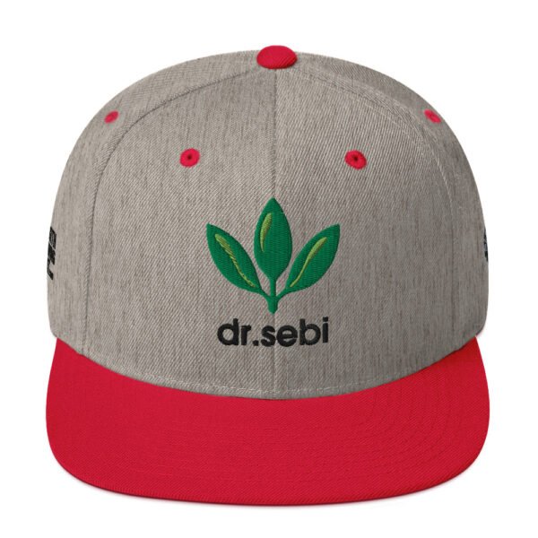 Dr. Sebi Snapback Cap – Unisex (Black Text) - Image 37