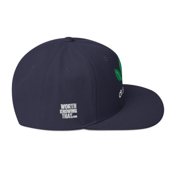Dr. Sebi Snapback Cap – Unisex (White Text) - Image 34