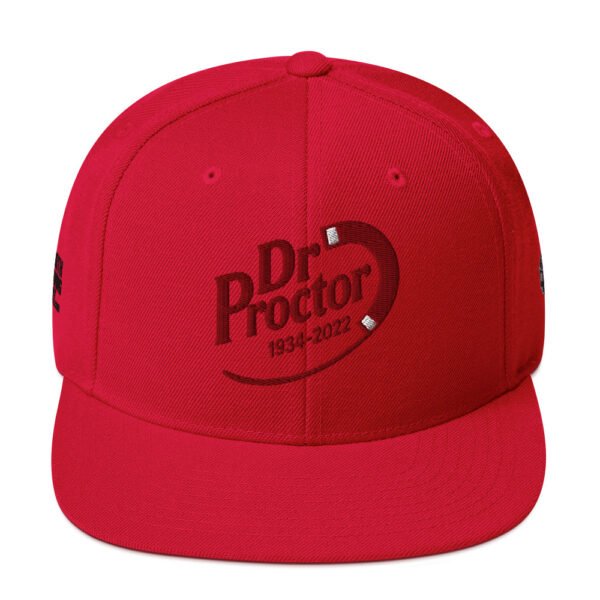 Dr. Proctor Snapback Cap – Unisex - Image 9