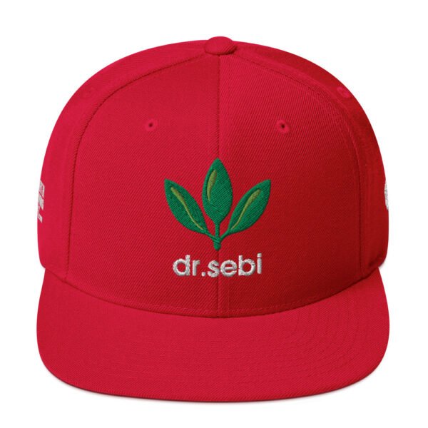 Dr. Sebi Snapback Cap – Unisex (White Text) - Image 37