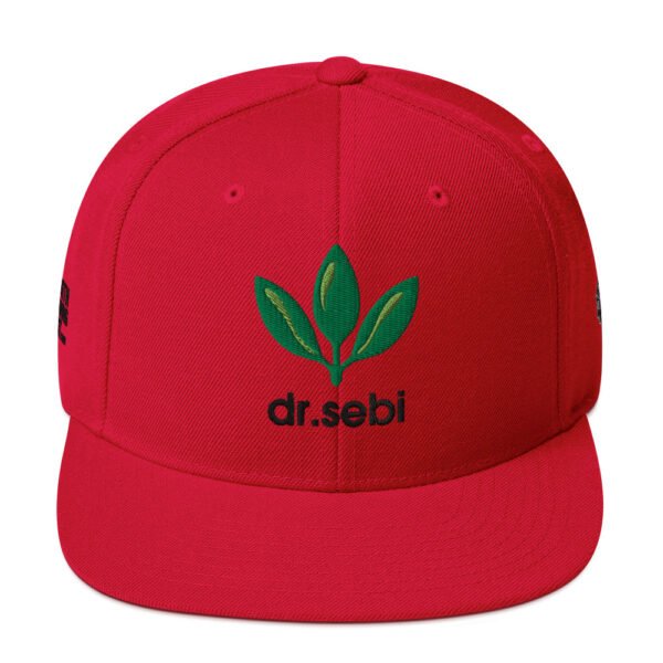 Dr. Sebi Snapback Cap – Unisex (Black Text) - Image 13