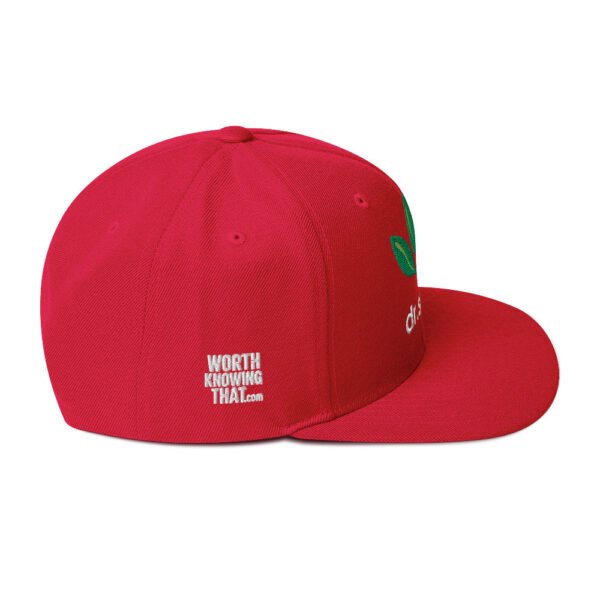 Dr. Sebi Snapback Cap – Unisex (White Text) - Image 38