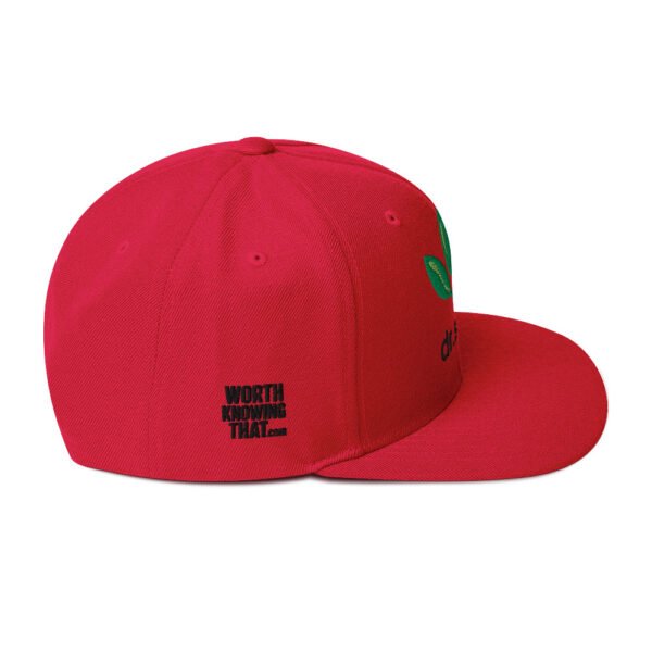Dr. Sebi Snapback Cap – Unisex (Black Text) - Image 14